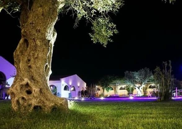 Masseria Colle Carro Ba07200451000019667 Алтамура Екстериор снимка