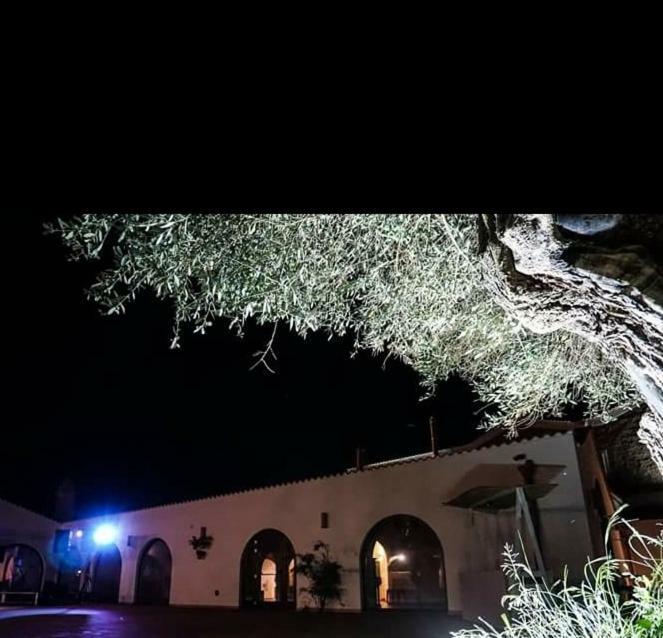 Masseria Colle Carro Ba07200451000019667 Алтамура Екстериор снимка