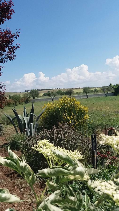 Masseria Colle Carro Ba07200451000019667 Алтамура Екстериор снимка