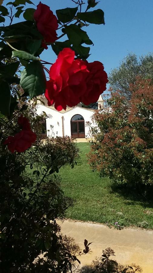 Masseria Colle Carro Ba07200451000019667 Алтамура Екстериор снимка